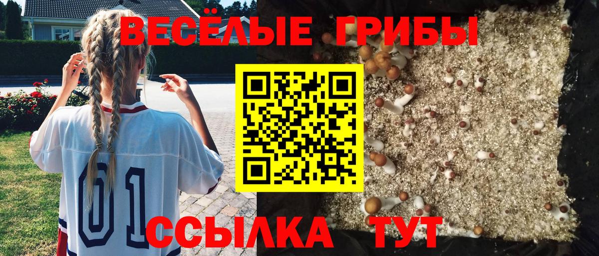Чапаевск  Псилоцибиновые грибы мухоморы  Вход с VPN  Псилоцибиновые грибы мицелий 